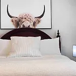 Comfort And Style