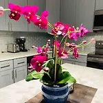 Lovely Beautiful 2Br Apt In Center City