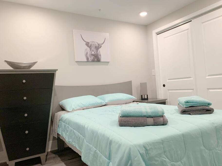 Modern 3 Bedroom 2 Ba With Patio Apartment