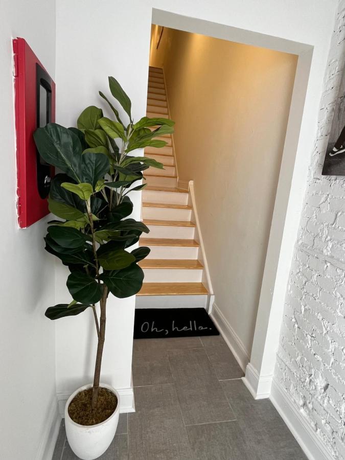 Elegant 1 Bedroom Unit In Apartment