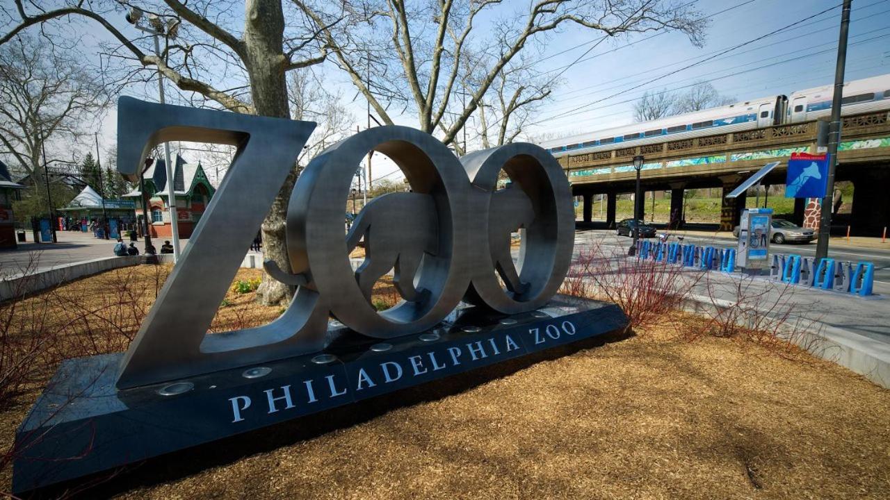 Trendy Fairmount Gem-5 Star Location, Roof Deck, Parking, Gr8 For Families Apartment *
