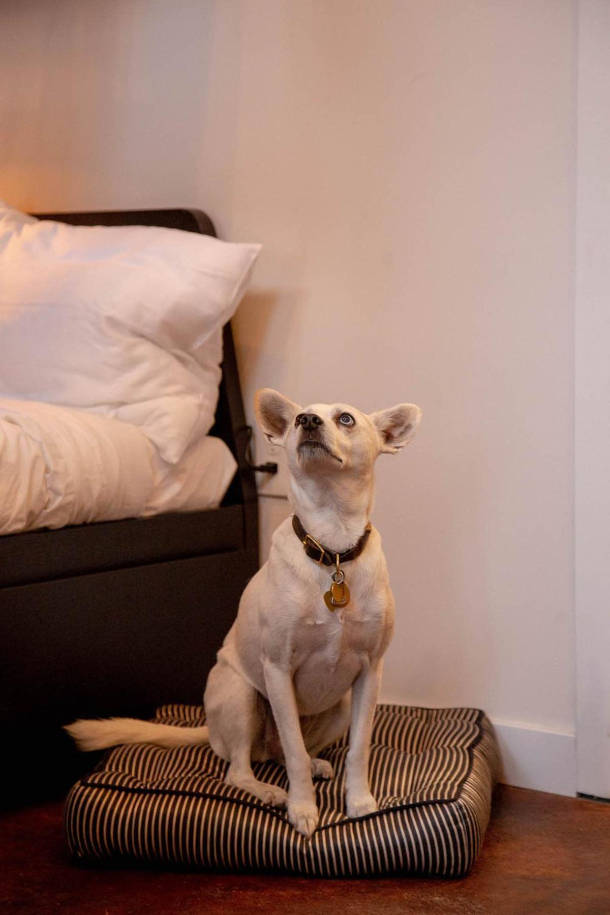 Reading Viaduct Loft, Center, Contactless Check In Philadelphia
