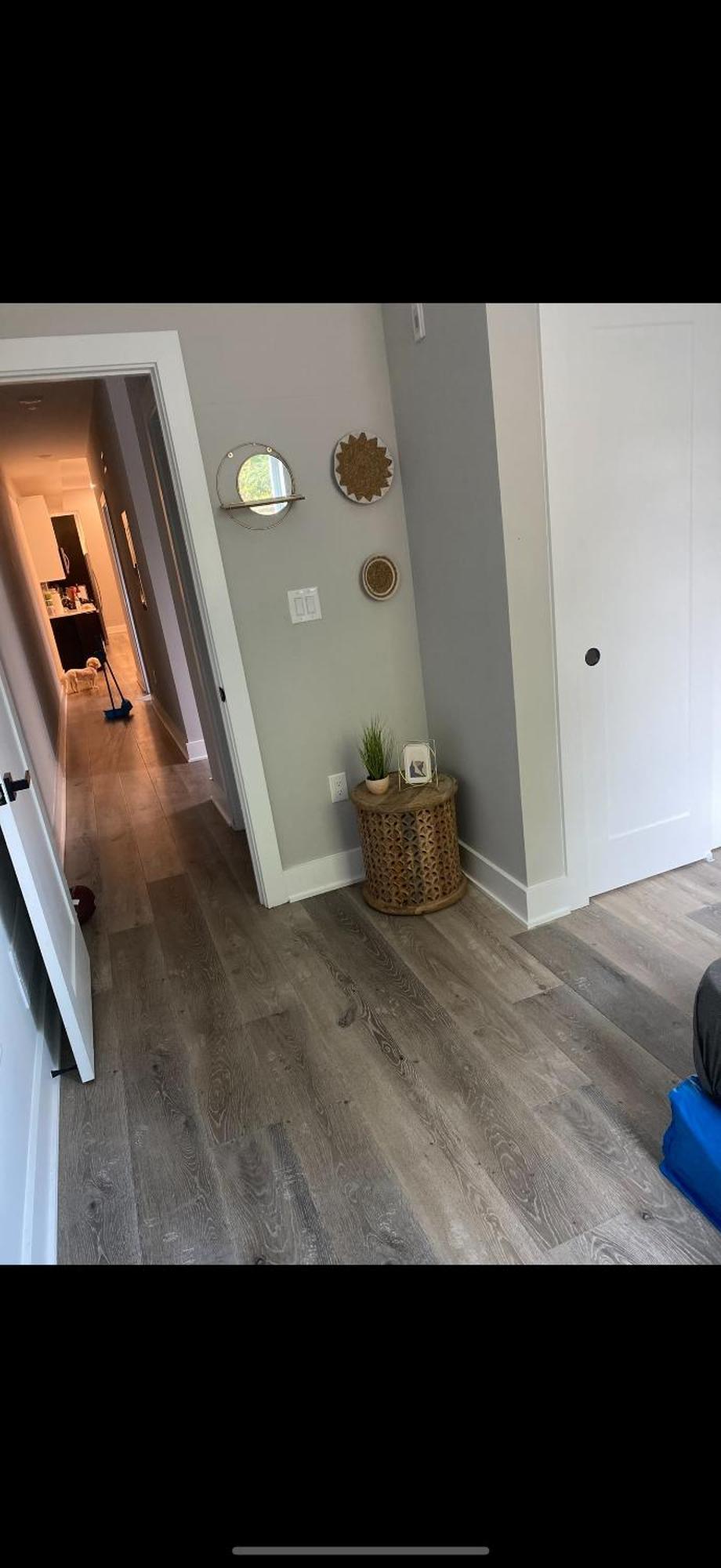 Full House Or & Private Bath Stays- Diamond Street Beautiful Luxury Estates * Philadelphia