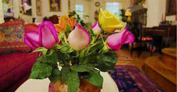 Bed & Breakfast Burbridge Street Philadelphia