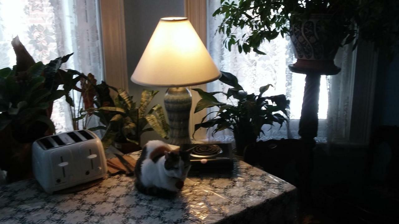 Bed & Breakfast Burbridge Street Philadelphia