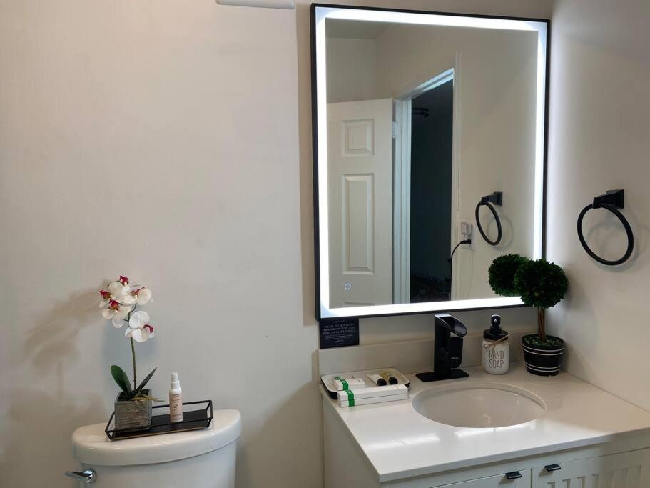 Sleek 2 Bedroom Unit With Parking Plus Car Rental! *