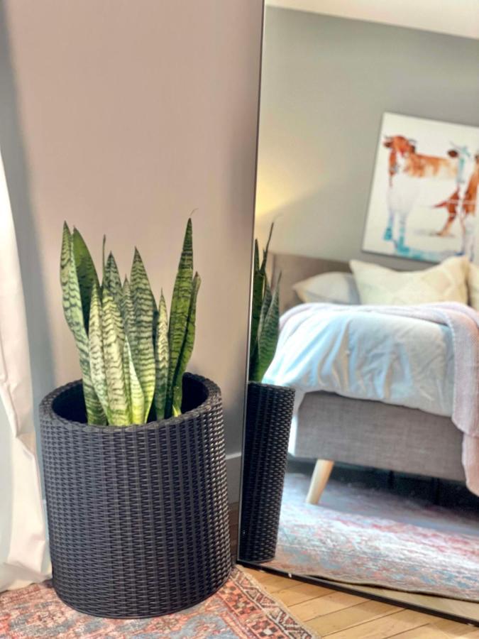 Apartment 2br In Heart Of Queen Village - Walk To Everything! Philadelphia