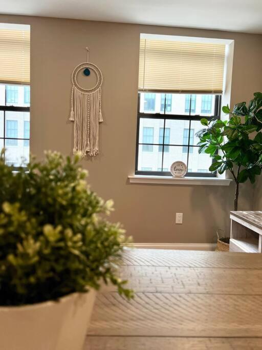 407 Sweetest 1bed Apt In Center City *