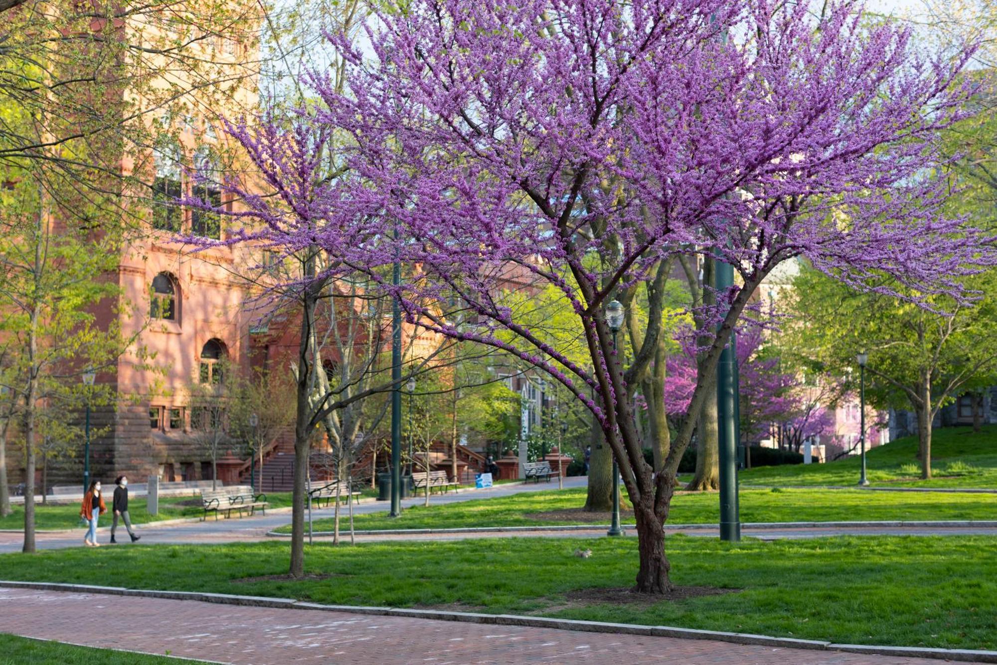 The At Penn, A Hilton Hotel Philadelphia