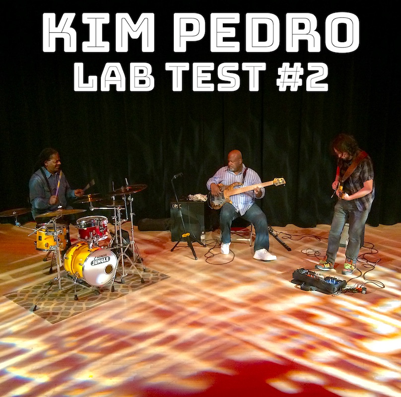 Kim Pedro Trio AT VIPARC CD Cover