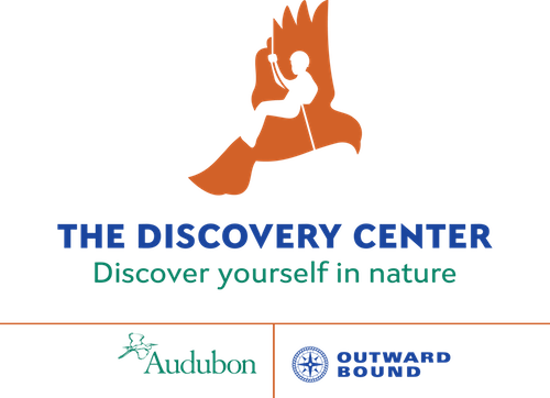 Discovery Center Logo